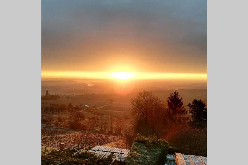 Vue Panoramique Sur Le Vignoble Appartement Sancerre Buitenkant foto